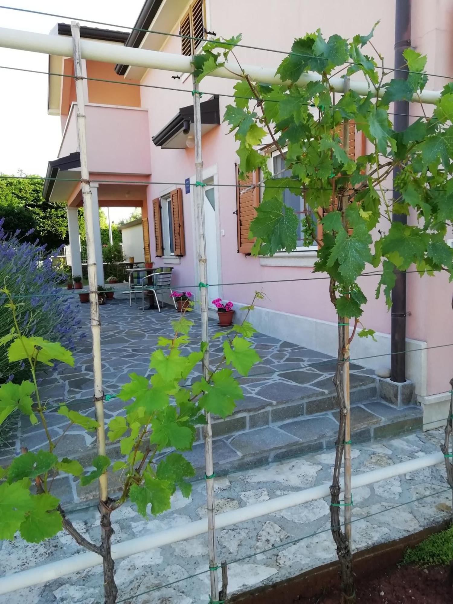 Apartmani Vesna Buje Luaran gambar