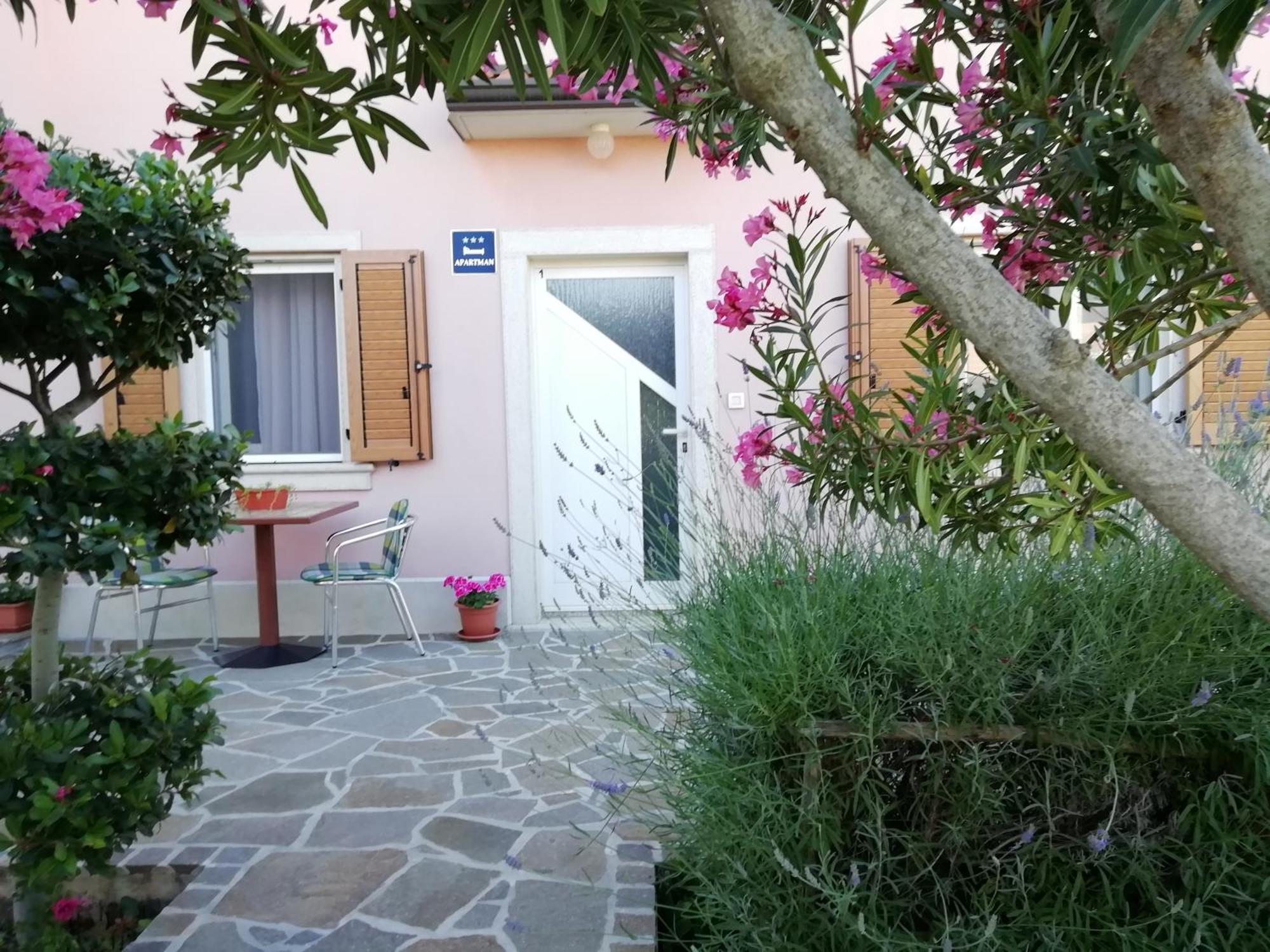 Apartmani Vesna Buje Luaran gambar